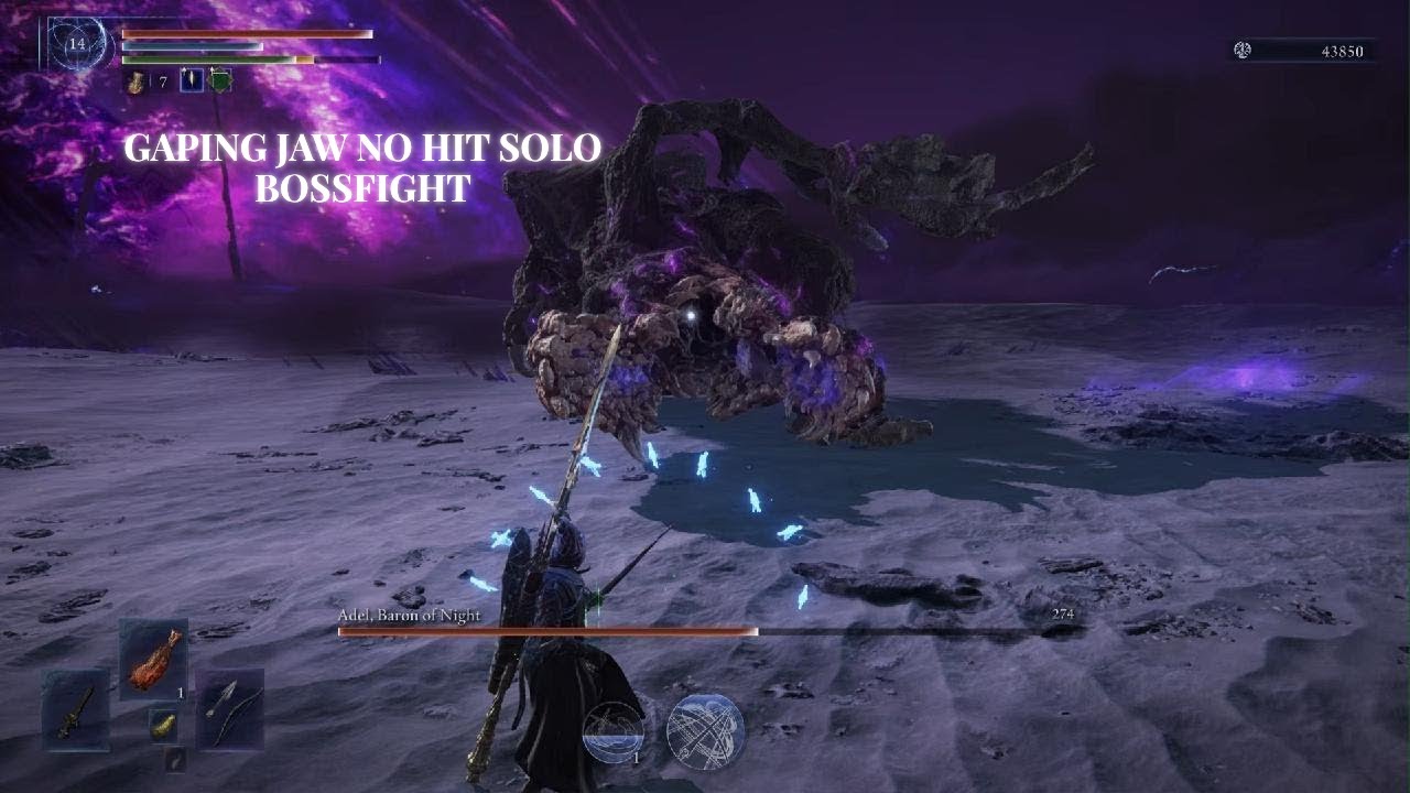 Why does this feels like a Monster Hunterish type boss (Gaping Jaw No Hit Solo Boss Fight)