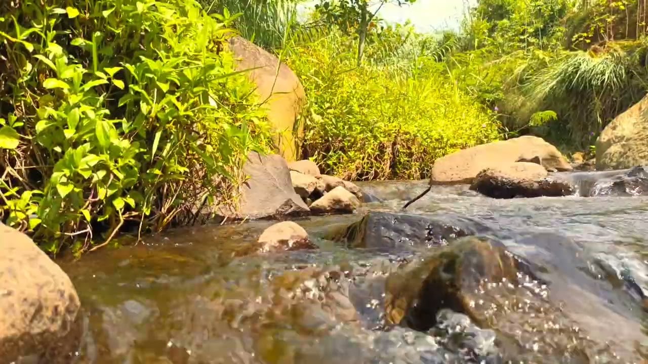 Midnight River Flow – Sleep and Dream