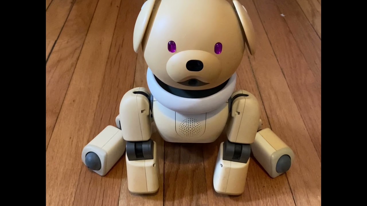 AIBO ERS-311 First Boot