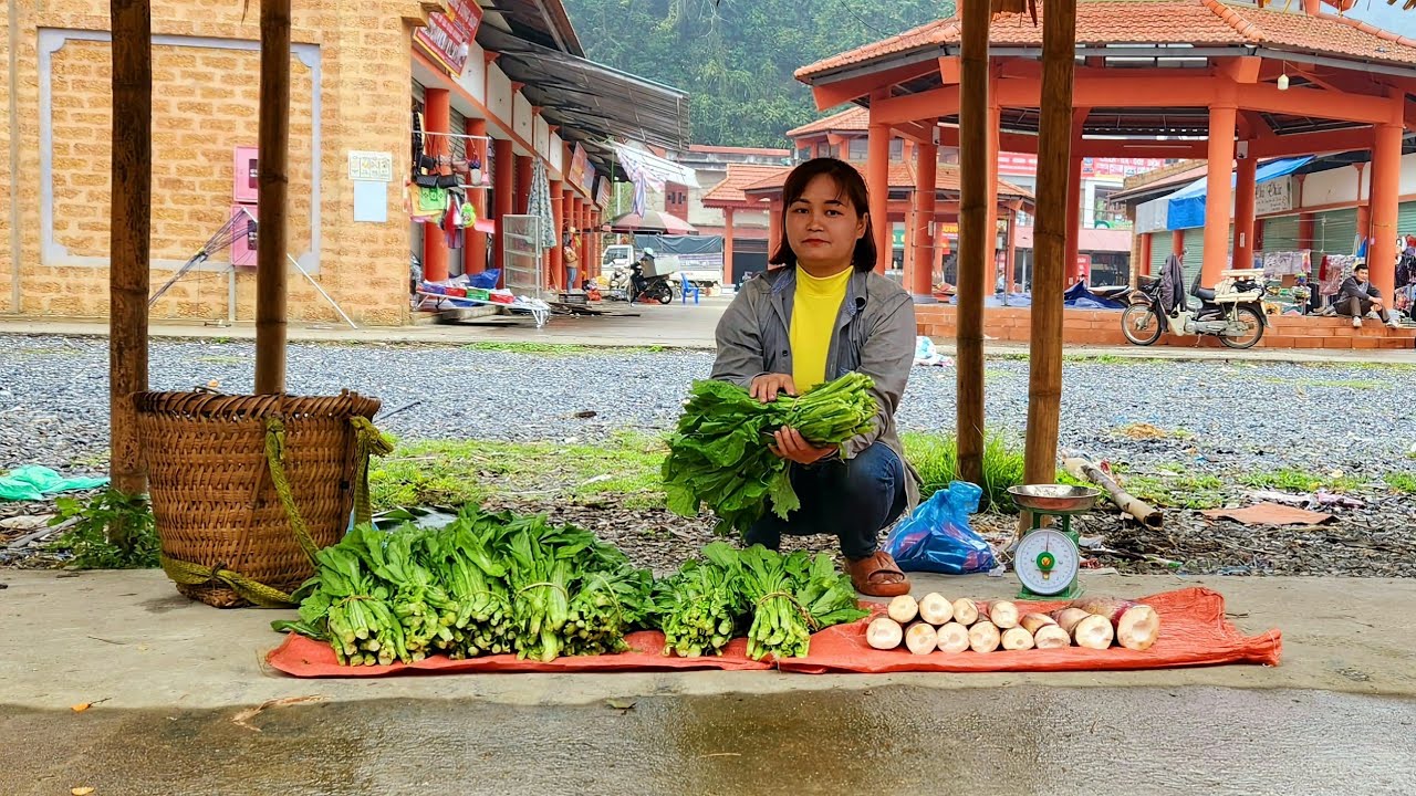Harvest Ginger and Vegetables to bring to the Market to sell