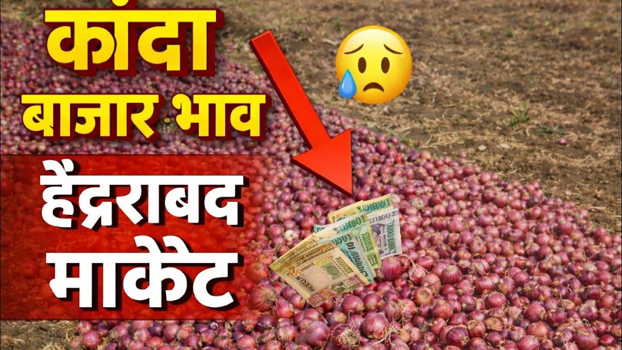 हैद्राबाद कांदा मार्केट 279 बॅग कांदा घेऊन आलो बगा मलकपेठ कांदा मार्केट ला 