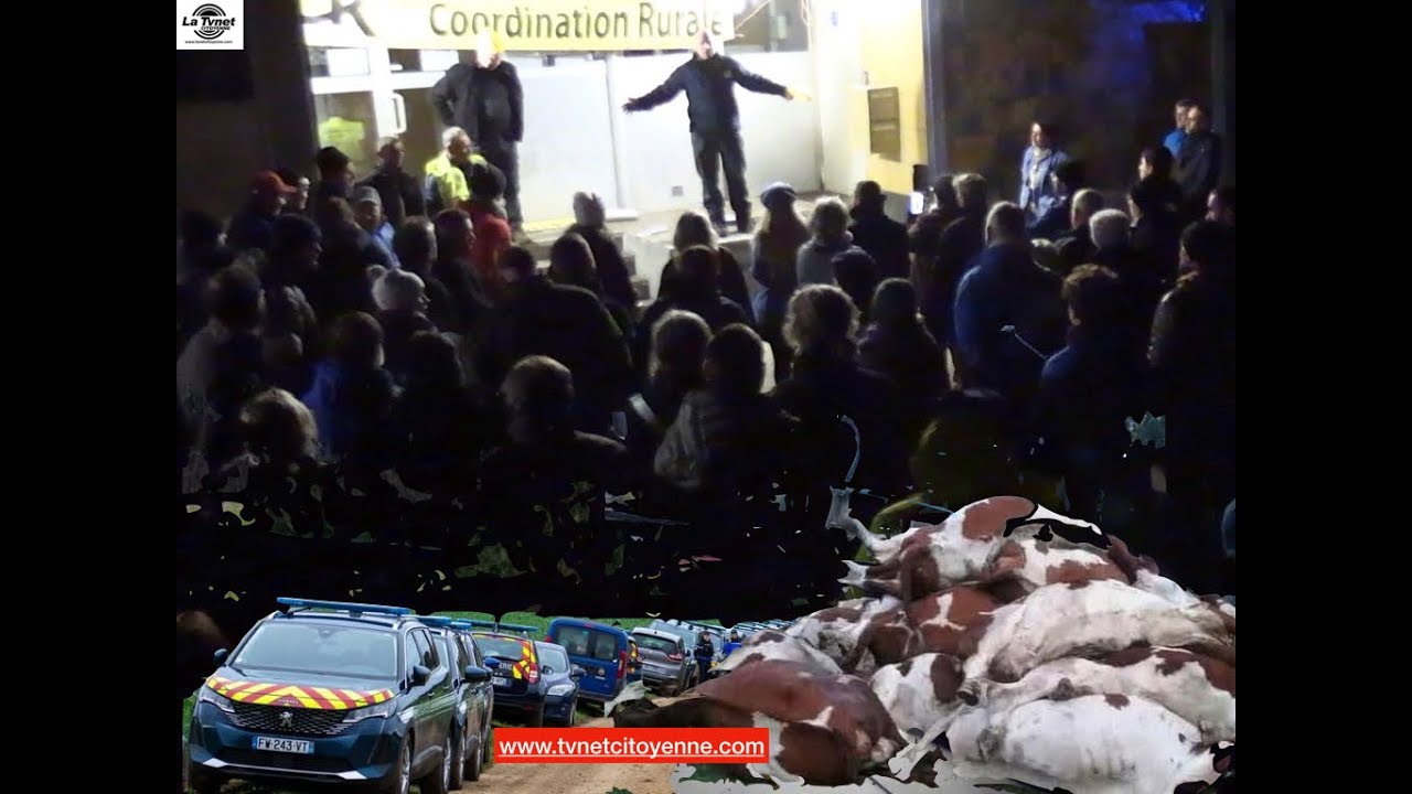 La Coordination rurale et la Conf&eacute;d&eacute;ration Paysanne disent NON aux massacres  des vaches vaccin&eacute;es