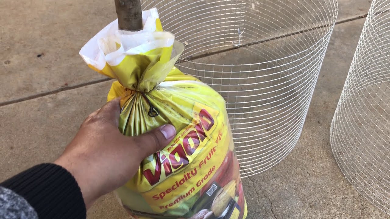 Como Proteger la Raíz de los Árboles/ El Micro Rancho