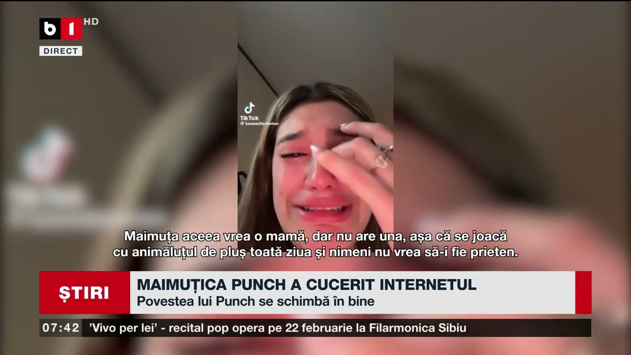 MAIMUȚICA PUNCH A CUCERIT INTERNETUL_Știri B1TV_22 febr. 2026