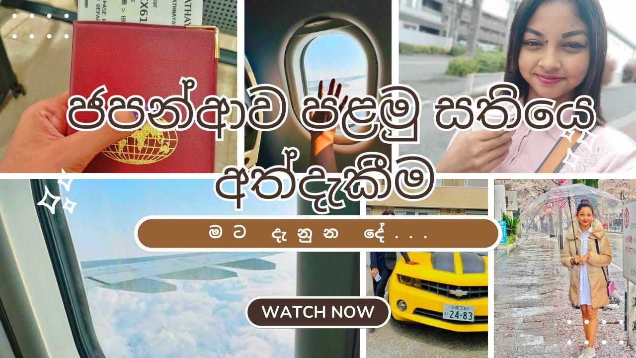ජපන් ආව පළවෙනි සතියෙ මට දැනුන දේ|| එන්න කලින් මේ දේවල් දැනගෙන එන්න.. 👌