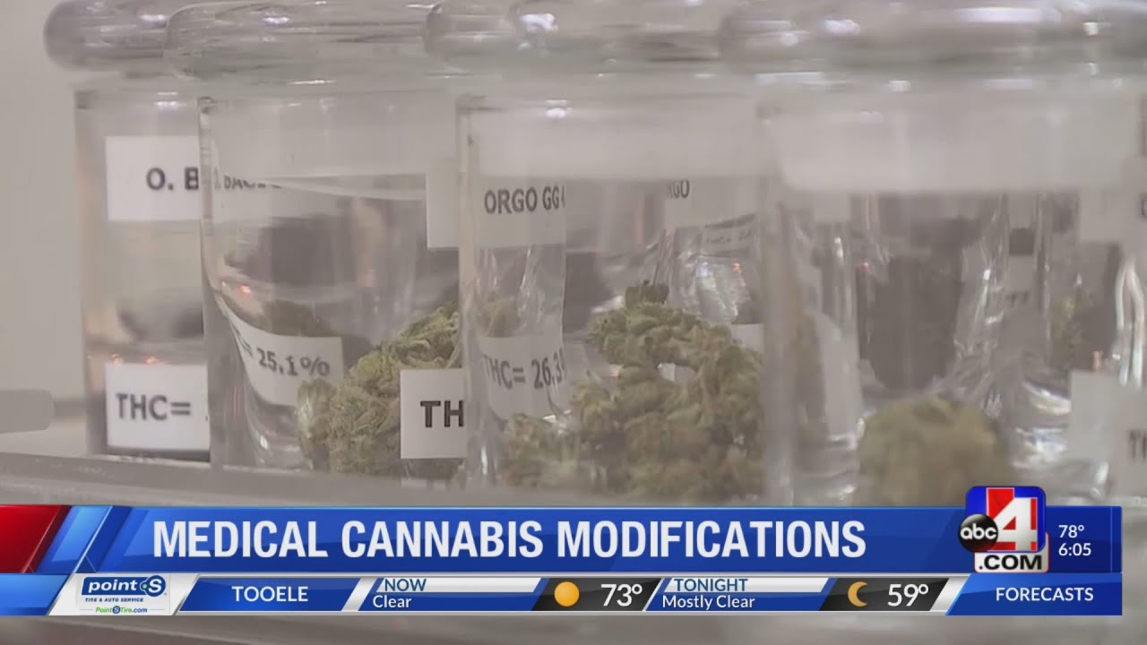 Bill to modify medical cannabis law goes before committee