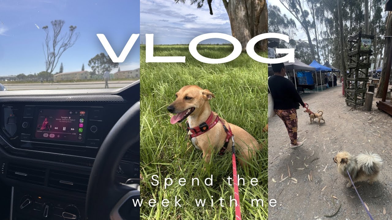 VLOG | Dental Check | Sunday Market | Grocery Shopping