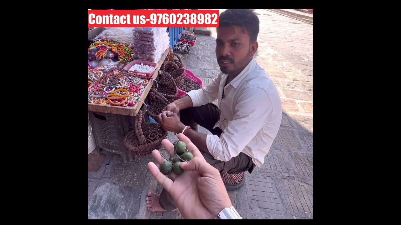 रुद्राक्ष का कच्चा फल #nepal #rudraksha #haridwar #shivbhakt #viralvideo #viralshort