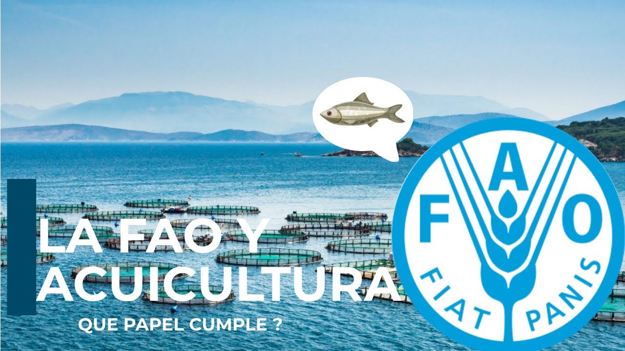 LA fao y la acuicultura