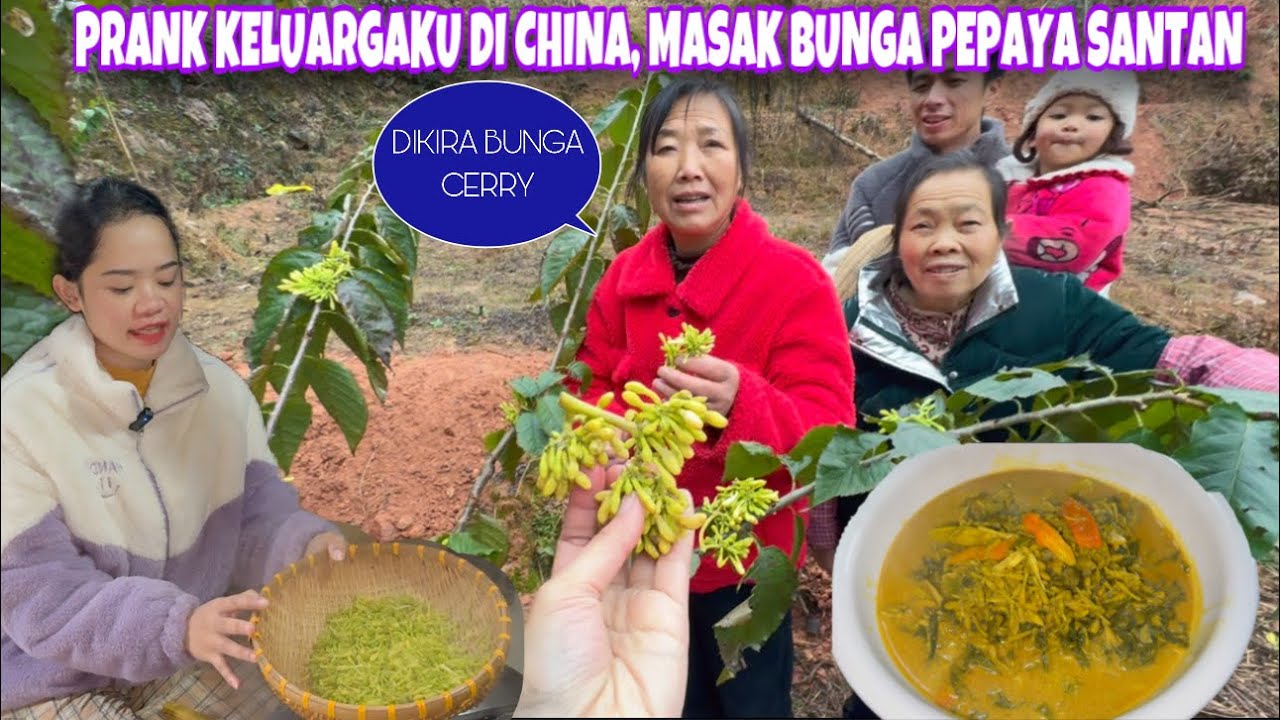 PERTAMA KALI MASAK BUNGA PEPAYA SANTAN MAMA SUKA BANGET SAMPAI DIMAKAN TANPA NASI DAN DISERUPUT  