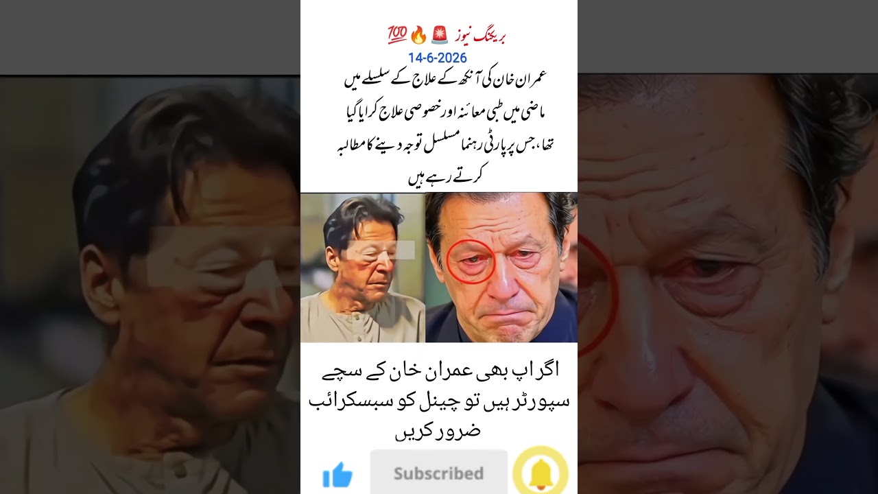 Irfan PTI news hub #imrankhanptipakistan #mainabpnewsdekhtahoon#pti #breakingnews#804 #short video