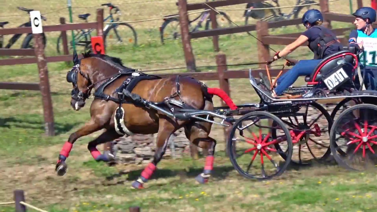 SCHILDAU- MARATHON 2018
