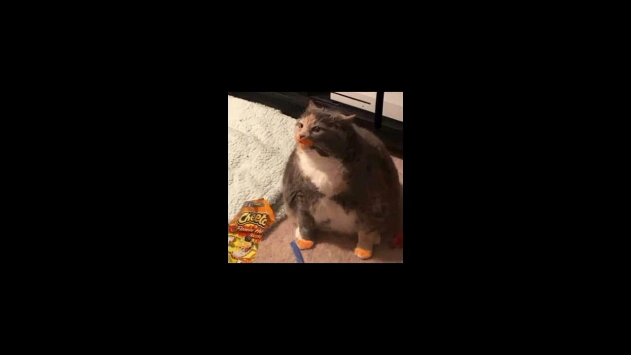 random sped up tiktok songs/audios 🌞