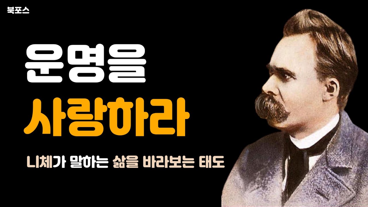 니체 말하는 운명을 바라보는 태도
