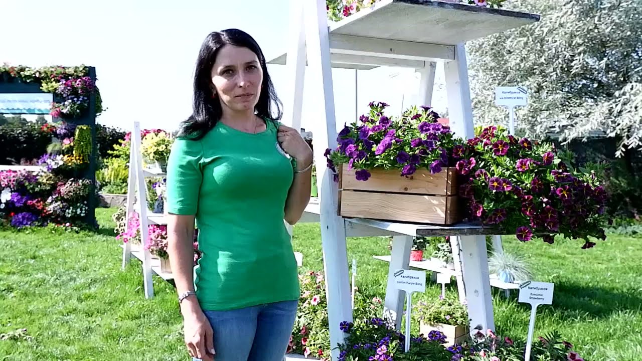 Новинки 2022. Калибрахоа. Петуния.
