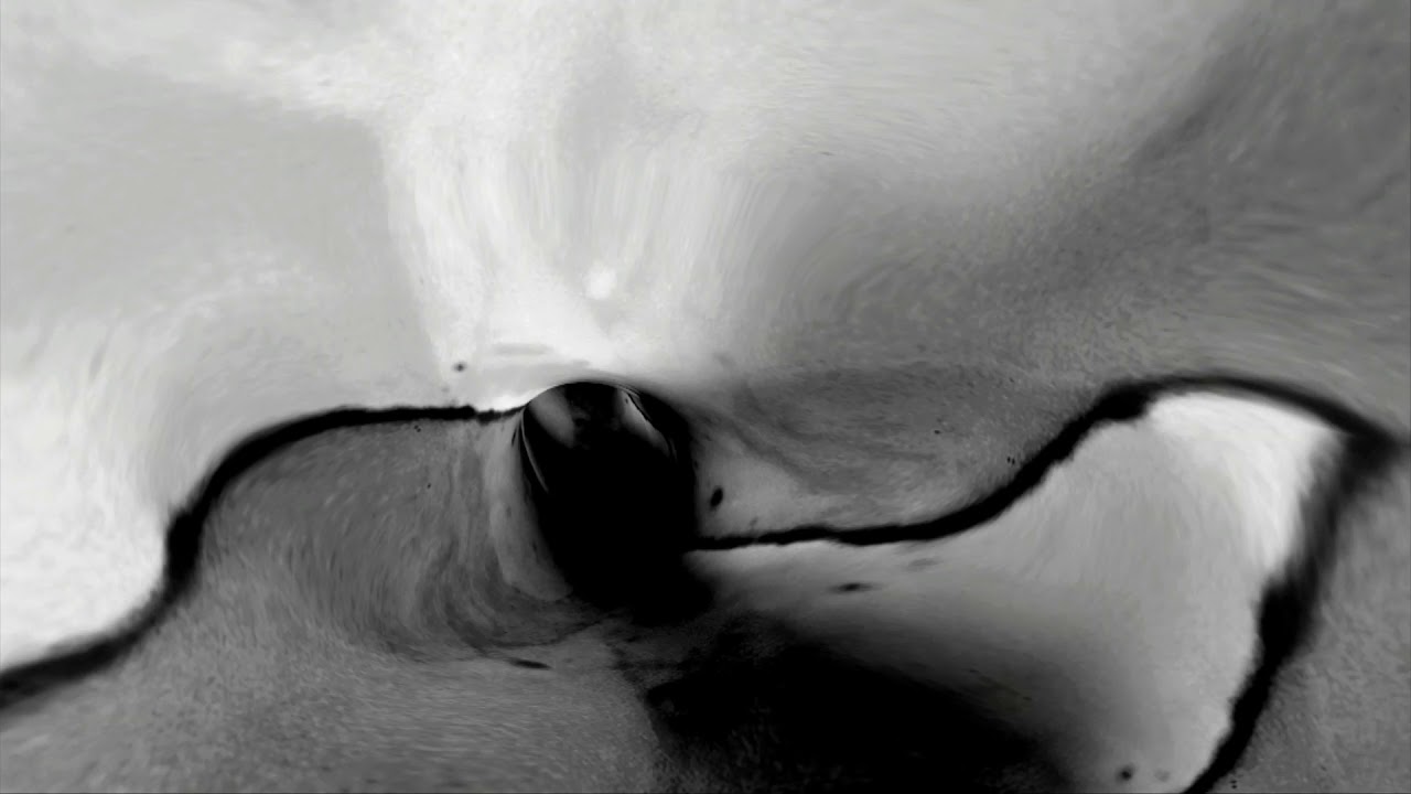Joel Fausto & Illusion Orchestra - The Bug (Official Video)