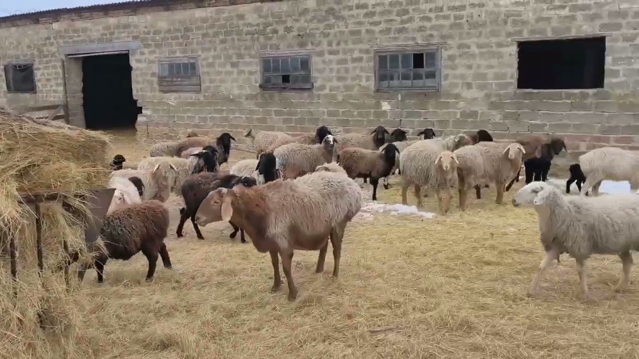 Теперь на широком экране 😊