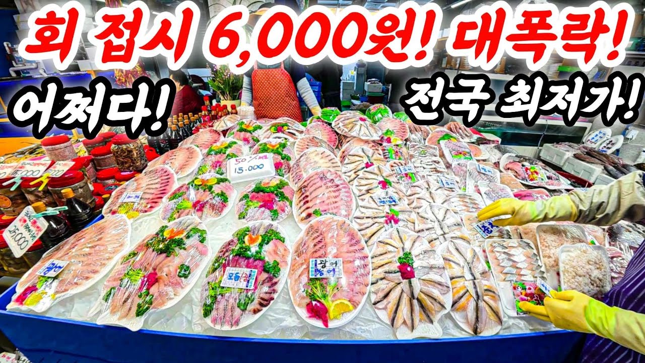 회접시 6,000원 대폭락 큰일 어쩌다! 이런일이 #수산시장 #어시장 #불경기 #전쟁 #바가지  #폭락 #food #국내산 #중국산 #먹거리 #fishing