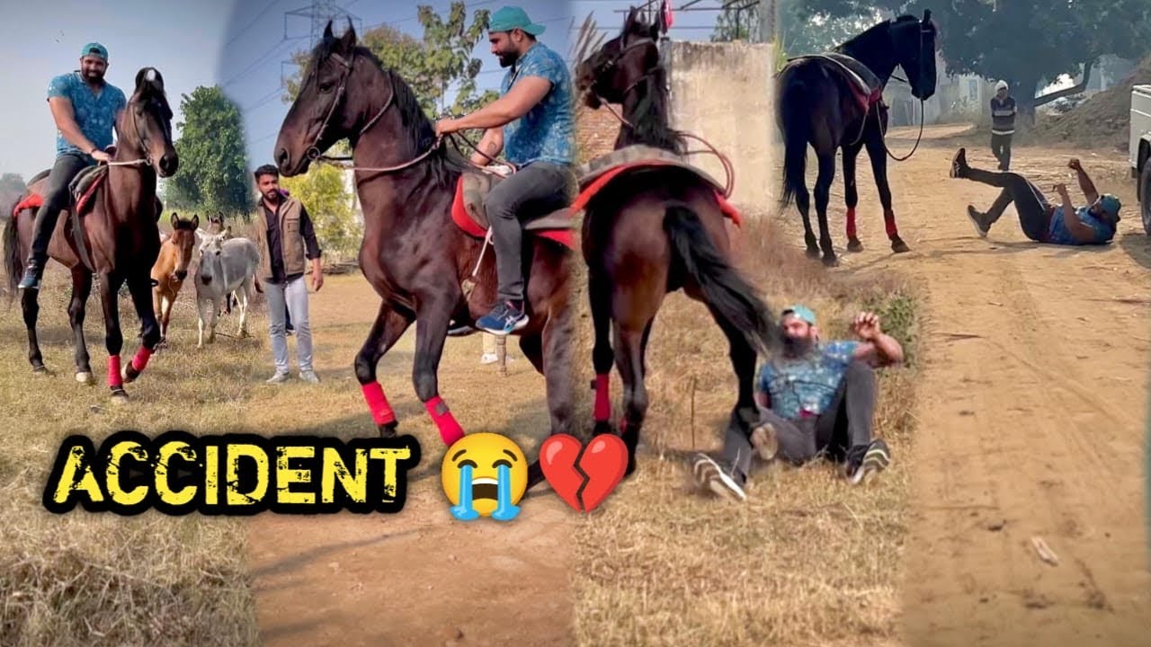 RIDE Karne Aaye Rider Ko Commando DONKEY 🫏 Ke Beech Mai Le Gya 😰Buri Tarah Gira Diya 😭(WORST RIDE)