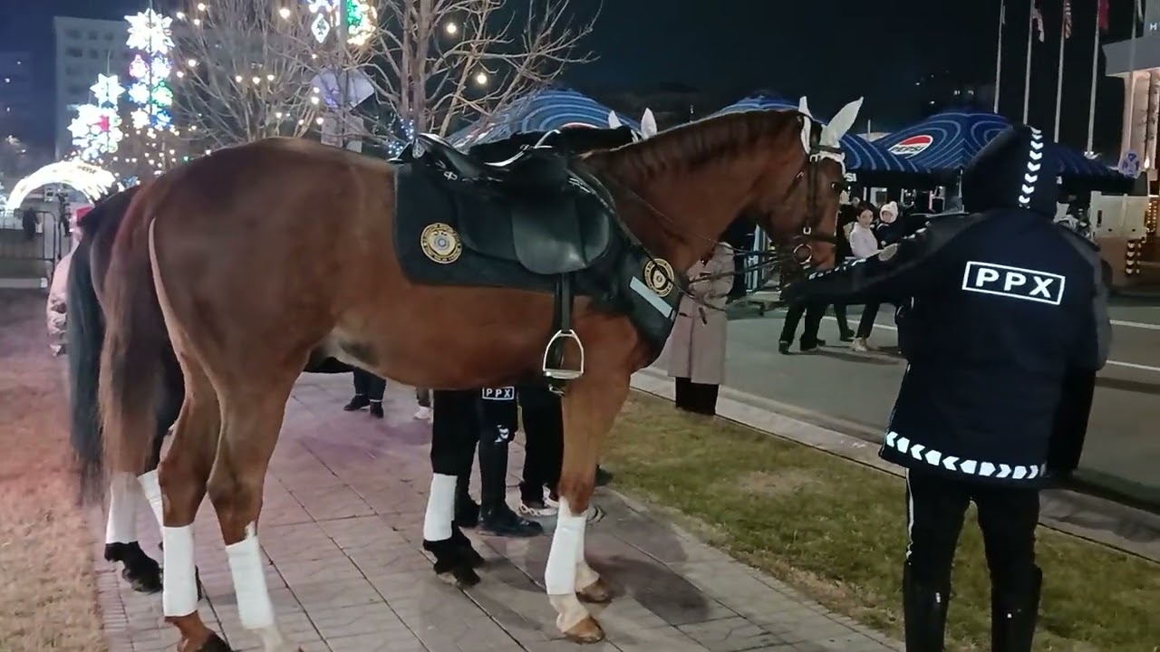 Mounted police officers on horseback in Tashkent, Uzbekistan / Конная полиция в Ташкенте, Узбекистан