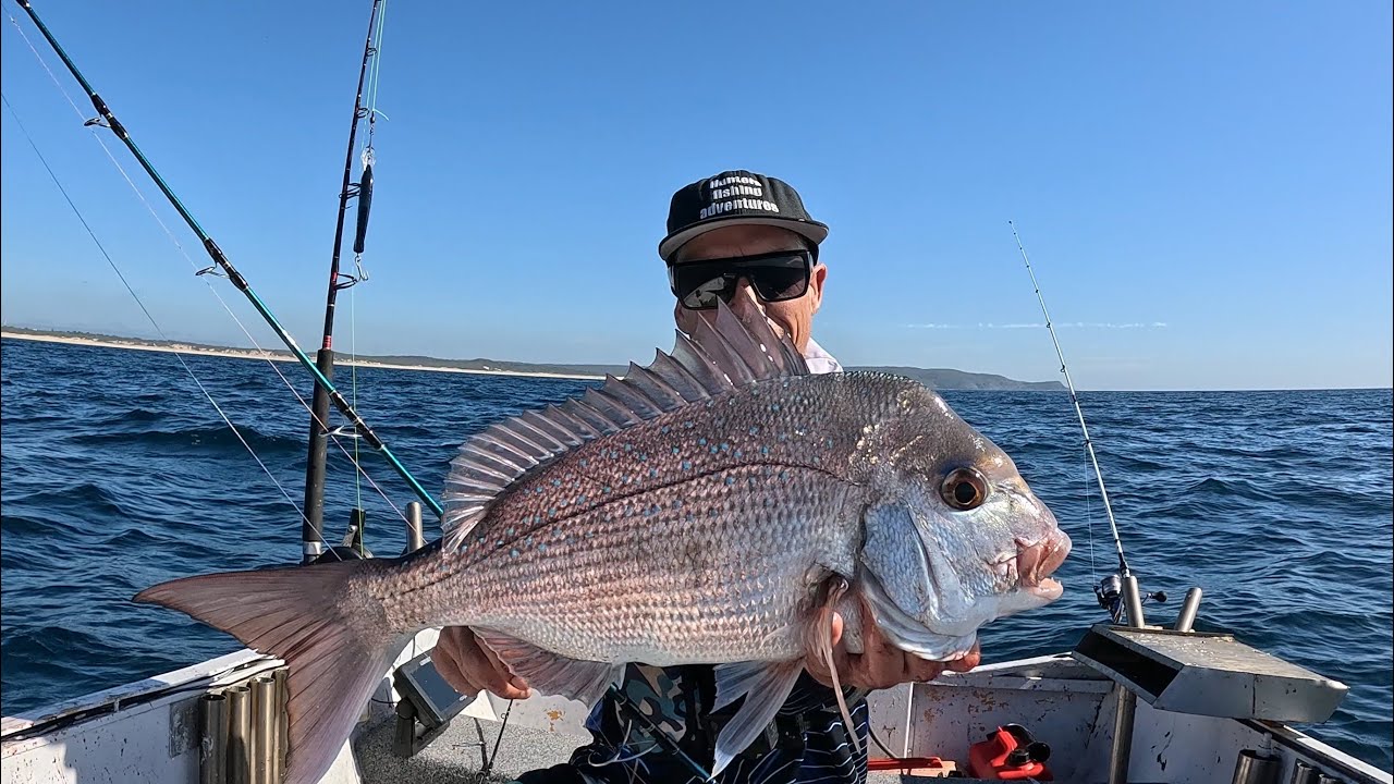 Snapper & Kingfish frenzy NSW central coast