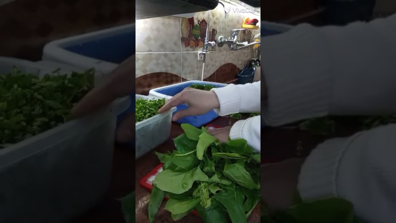 ١٤ يناير ٢٠٢٦