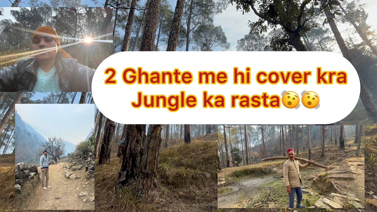 16k steps or 10km ka fadali jungle🤯🤯🫠🫠Dhoke se leke gye itni dur🫩