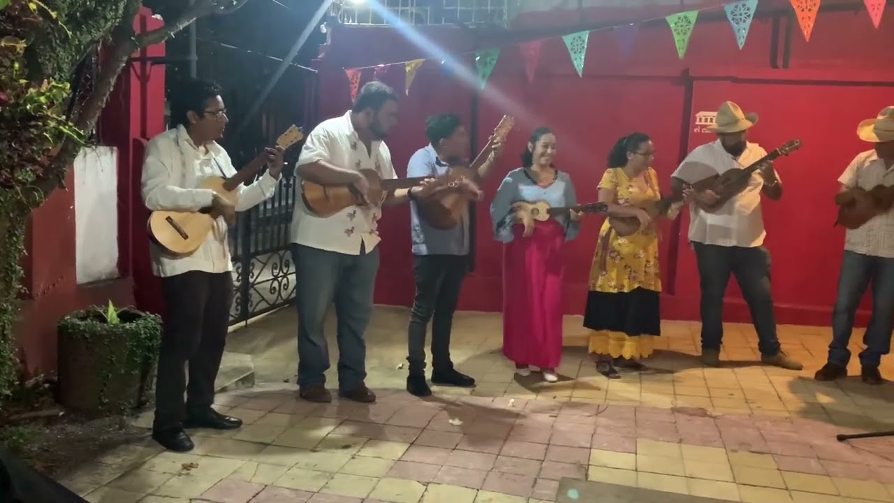 El torito abajeño - Los soneros del Tesechoacán