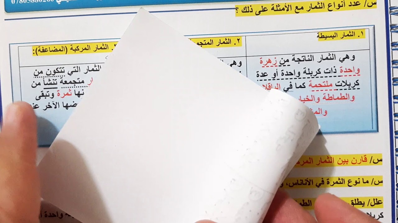 م٢٦التكاثر في النبات الزهري / تكوين الثمره ( انواع الثمار )