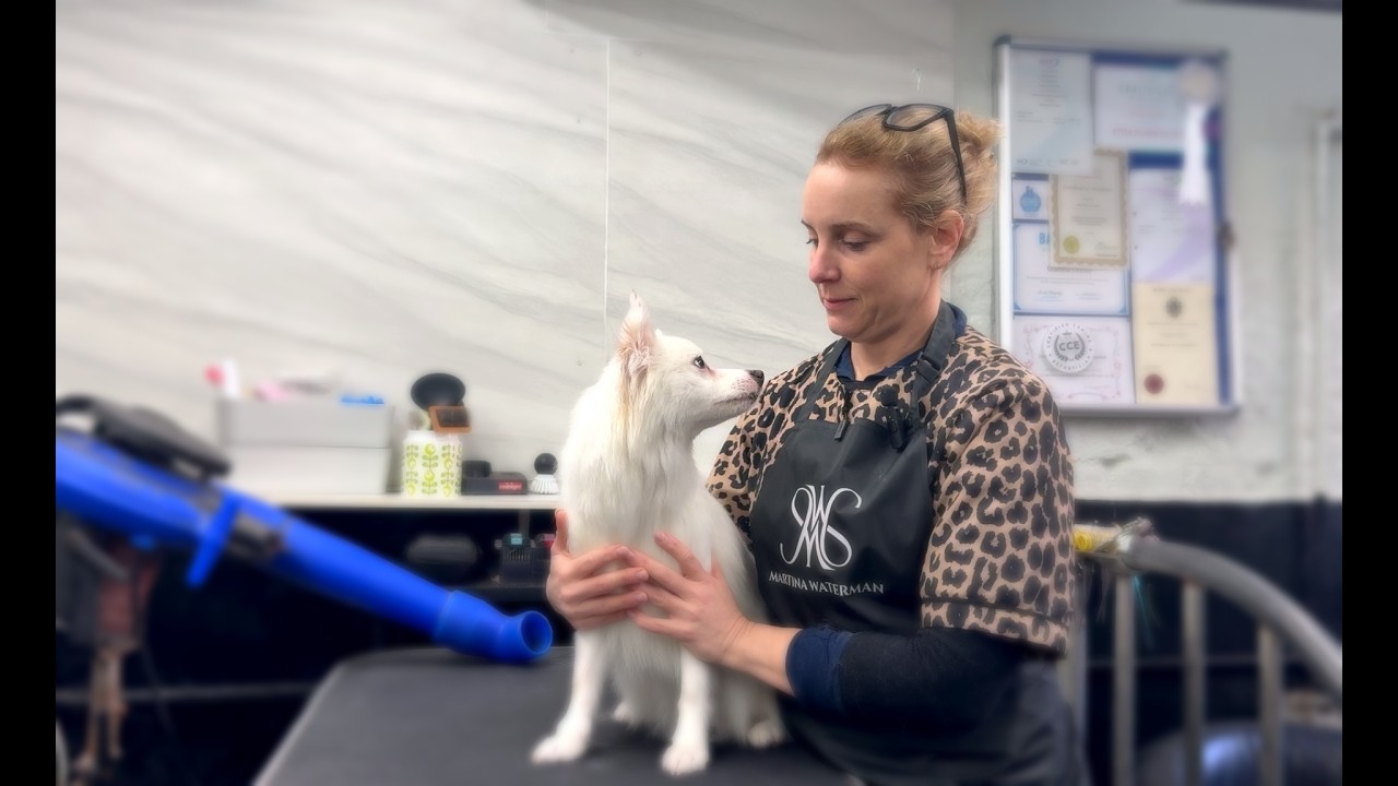 Grooming Rescue Dogs Before They Compete at Crufts 2026 🐾✂️
