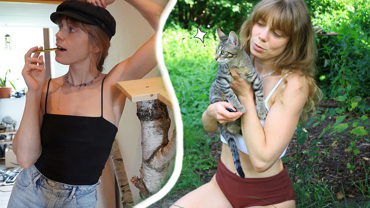 Babycats go outside for first time, building cat stuff again | VLOG #7