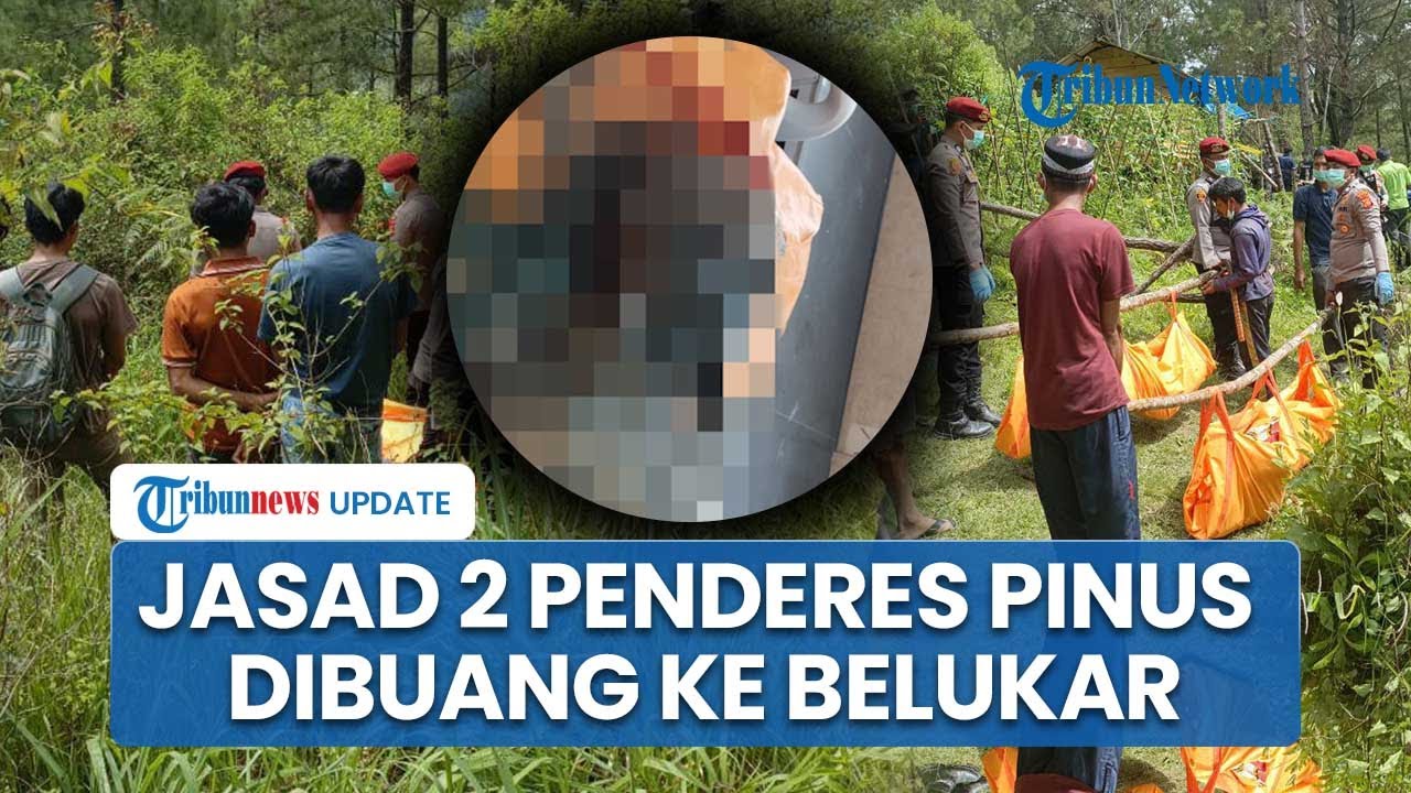 Kronologi 2 Penderes Pinus Tewas Mengenaskan di Semak-semak Gayo Lues, Diduga Dibunuh Rekan Sendiri