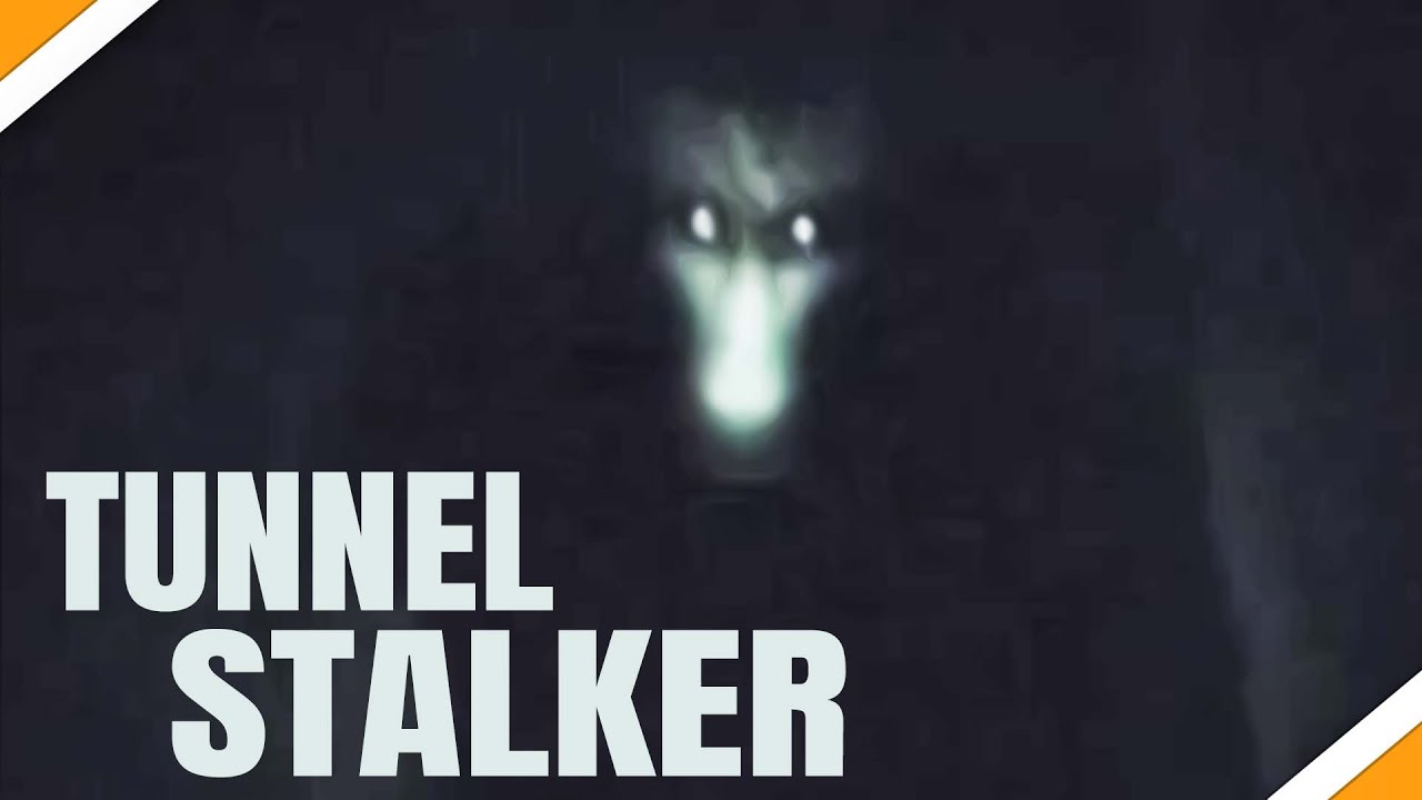 The Tunnel Stalker Explained