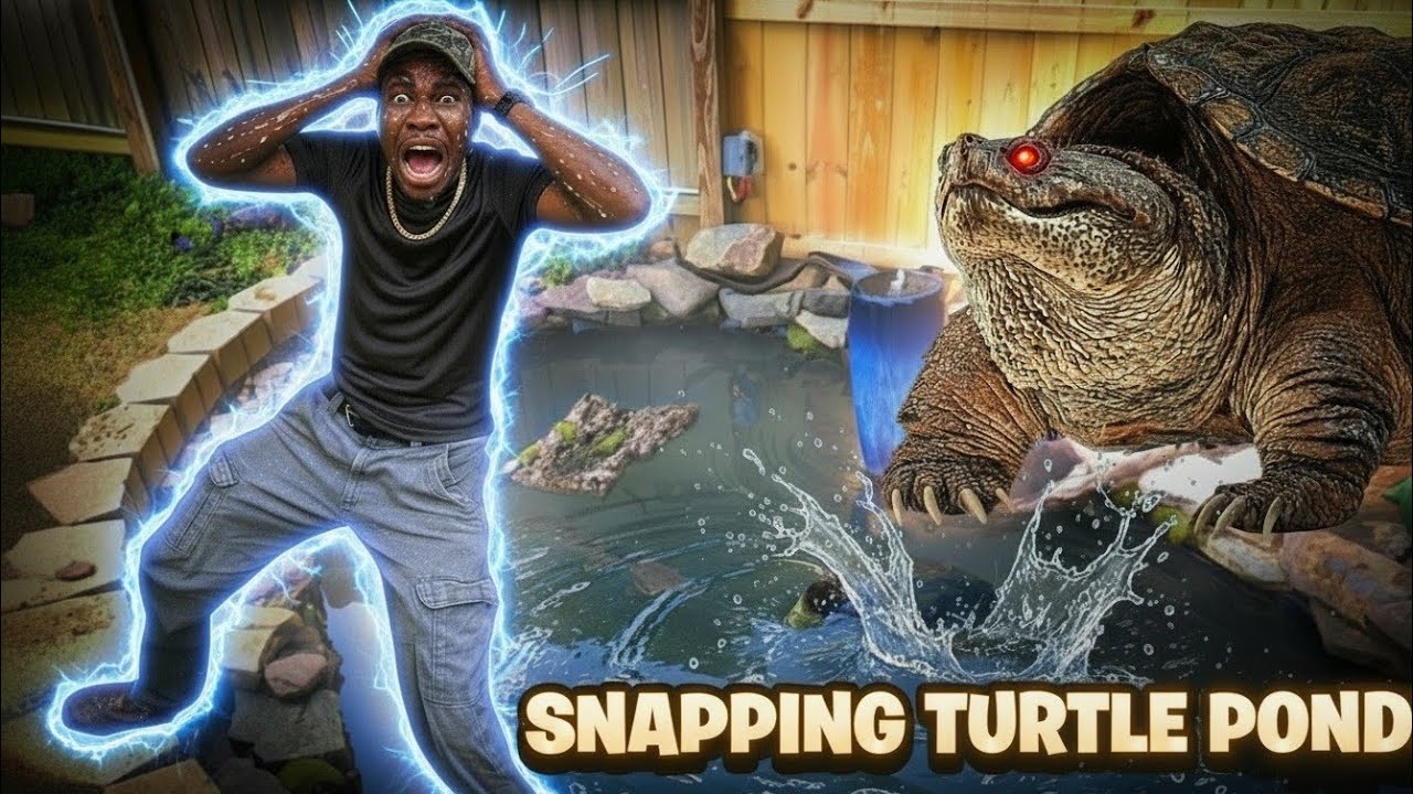 My Evil Snapping Turtle Gets a Massive Pond Upgrade!