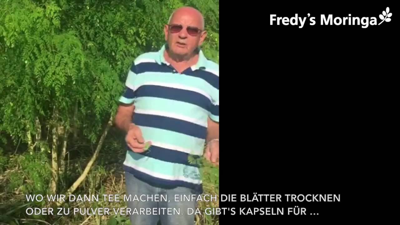 Fredy's Moringa - Sustainable project by Fredy Hiestand
