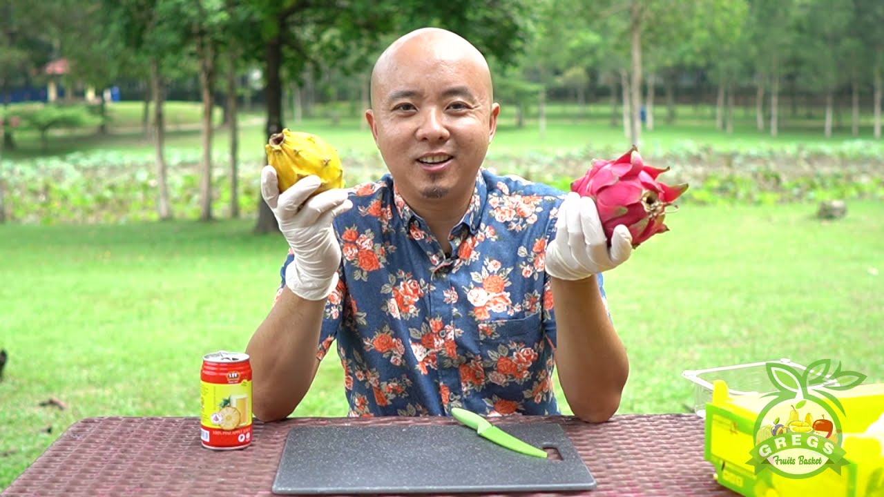 Red Dragon Fruit VS Yellow Dragon Fruit (Pitahaya) ????