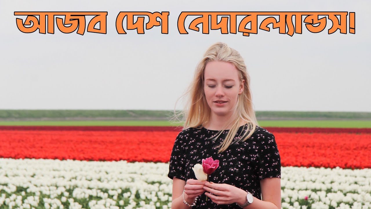 নেদারল্যান্ডস সম্পর্কে অবাক করা তথ্য ✅ All About Netherlands in Bangla ✅ জানুন নেদারল্যান্ড সম্পর্কে