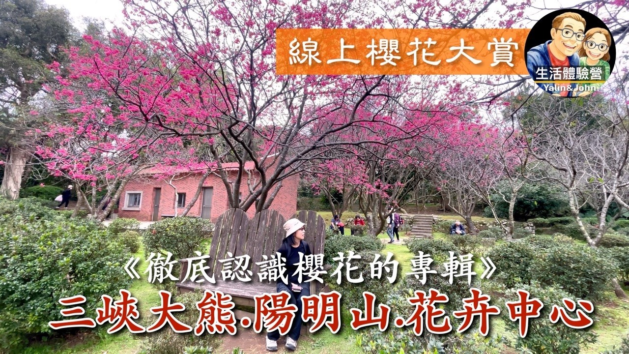 2026線上櫻花大賞/大熊賞夜櫻.陽明山看山櫻花.花卉試驗中心賞寒櫻