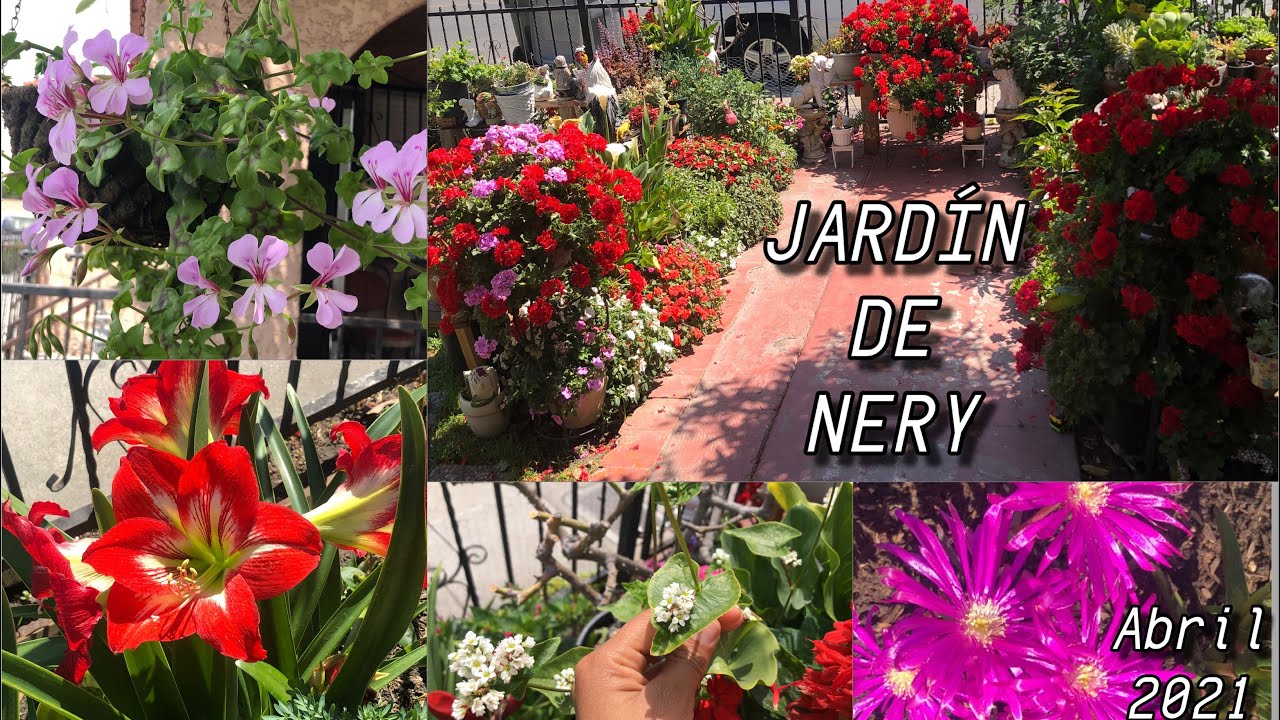 2021 TOUR POR LAS FLORES DEL JARDIN DE NERY