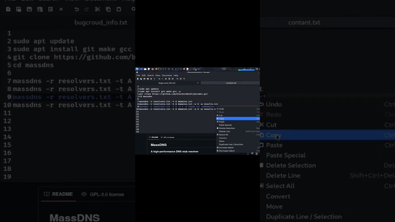 MassDNS Advanced Tutorial: High Performance DNS Brute Force for Hackers