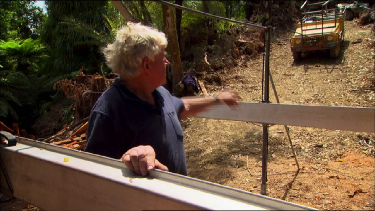 Native Timber Forestry