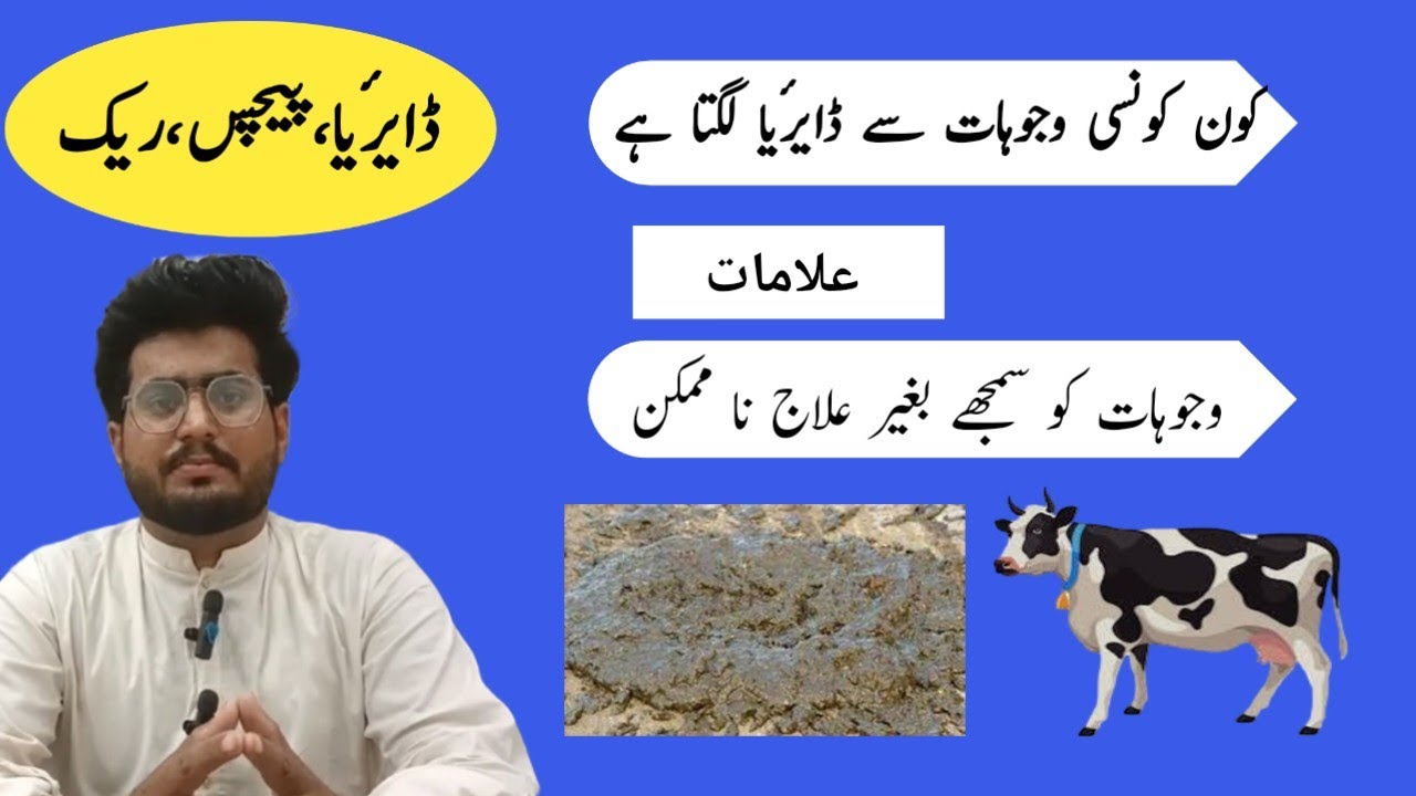 جانوروں میں ڈائریا کیوں لگتا ہے،وجوھات اور علامات diarrhea in animal,cause and symtoms