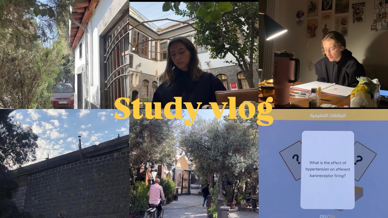 Study vlog in Syria 