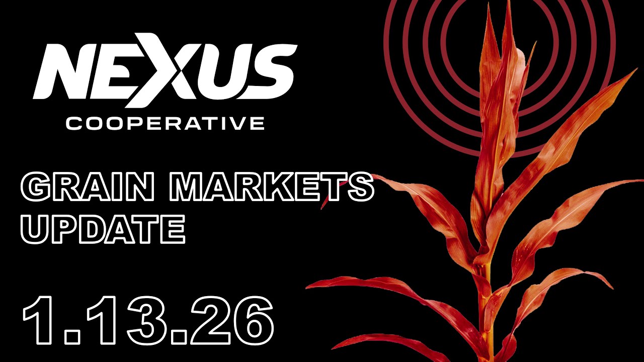 Nexus Grain Update - January 13, 2026
