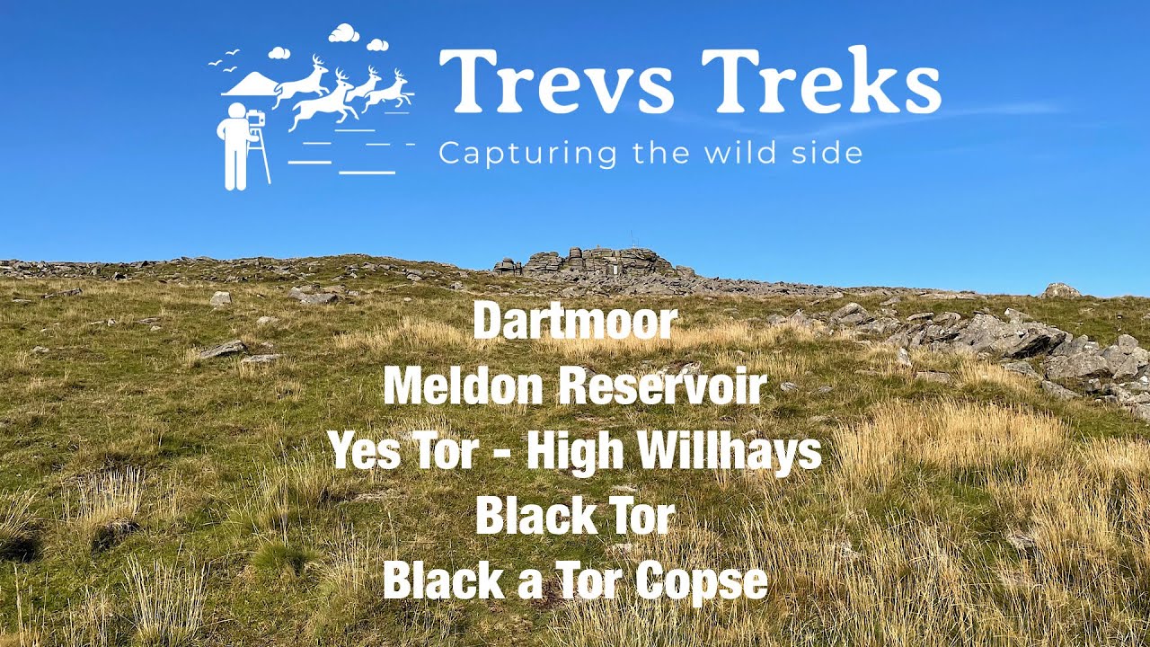 Yes Tor - High Willhays Dartmoor