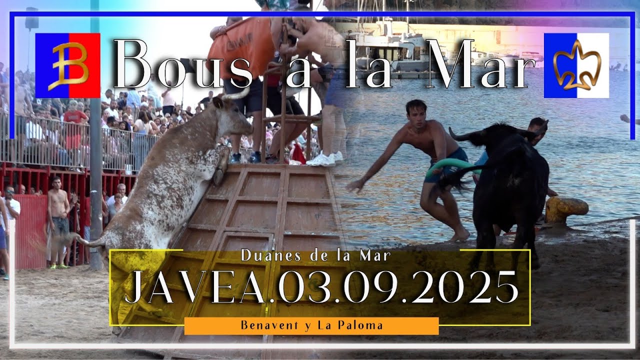Javea 31/08 Y 3/09/2025 Bous a la Mar ▪️ La Paloma / Benavent