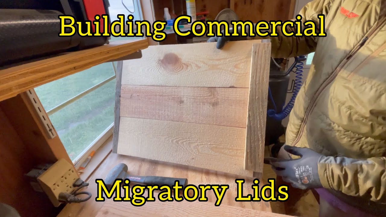 Building Migratory Lids for 10 frame Langstroth Bee Hives