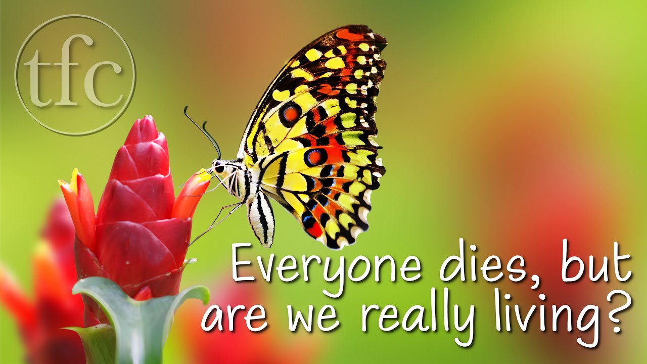 Everyone dies, but are we really living? - A Lift by Pastor Kerry Kirkwood |  Episode 60