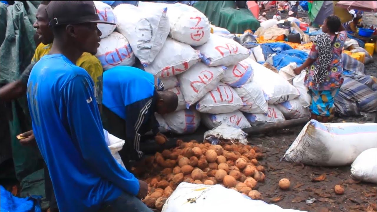 MALUKU LIBONGO YA BA PECHEUR SECRE YA COCOTIE PONA NZOTO YA MIBALI EGLISE LILOBA EBIMI AWA.