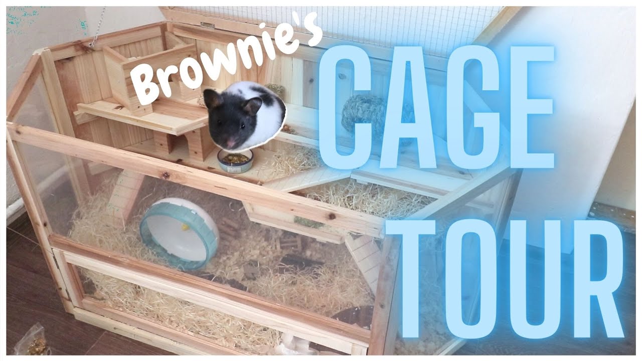 🔥CAGE TOUR🔥 Brownie🐹 | Brownieho pal&aacute;c
